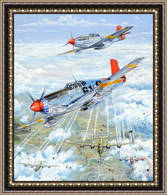 Charles Taylor Red Tail 61 Framed Print