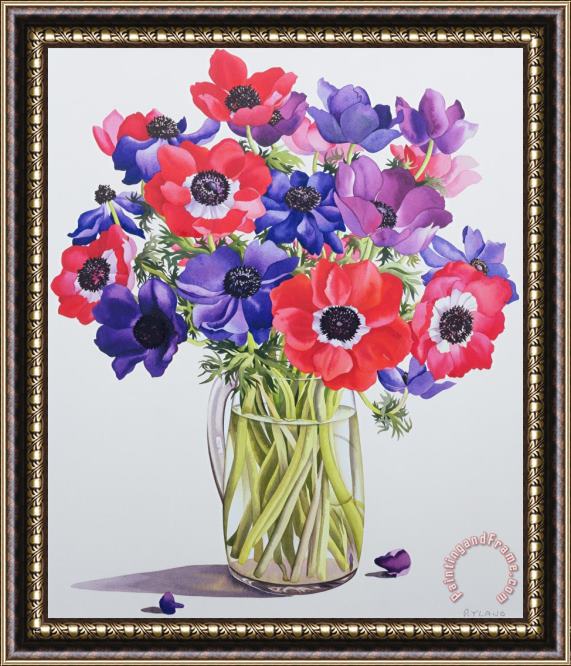 Christopher Ryland Anemones In A Glass Jug Framed Painting