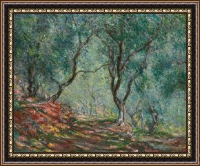 Olive Trees And Poppies Framed Paintings - Olive Trees in the Moreno Garden by Claude Monet