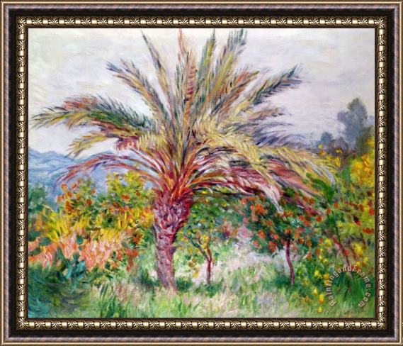Claude Monet Palm Tree at Bordighera Framed Print