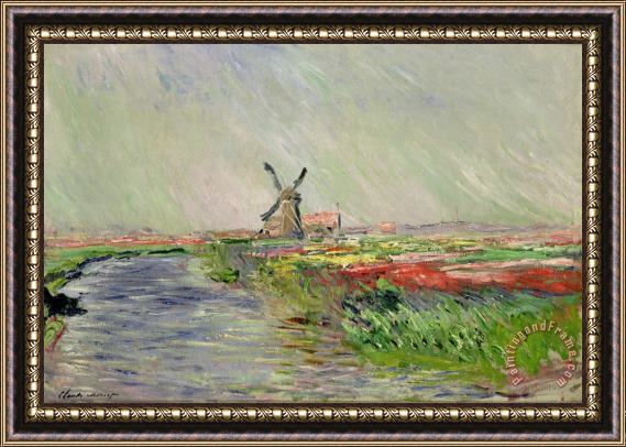 Claude Monet Tulip Field in Holland Framed Print