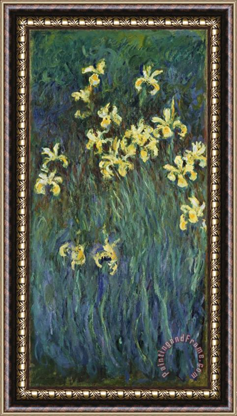 Claude Monet Yellow Irises Framed Painting