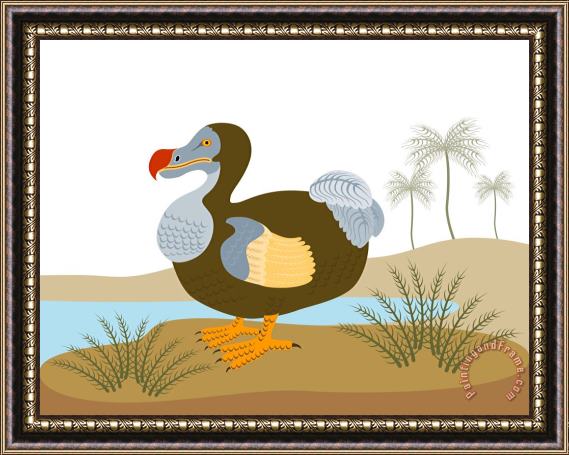 Collection 10 Dodo Bird Raphus Cucullatus Retro Framed Painting