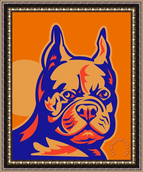 Collection 10 French Bulldog head portrait retro Framed Painting
