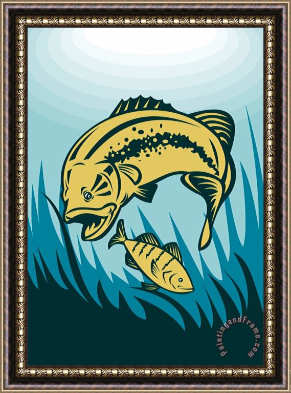 Collection 10 Largemouth Bass Preying On Perch Fish Framed Print