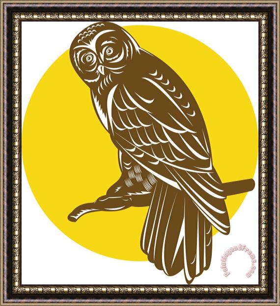 Collection 10 Owl on Branch Retro Framed Print