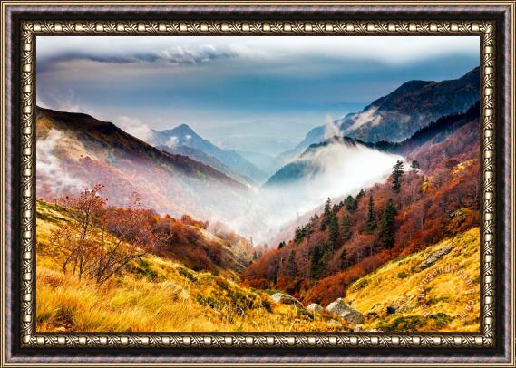 Collection 12 Central Balkan National Park Framed Painting