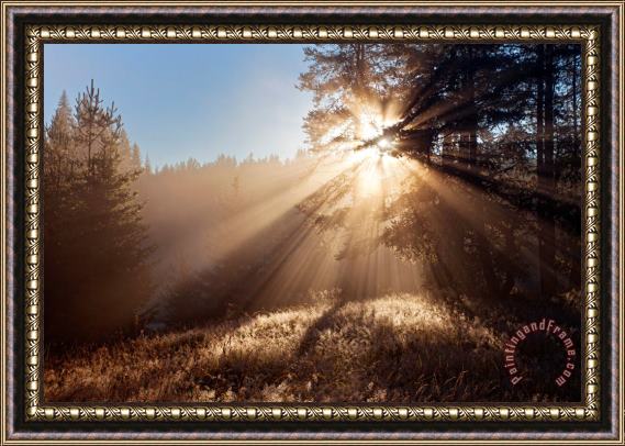 Collection 12 Divine beams Framed Print