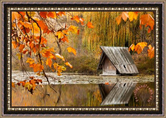 Collection 12 Duck's House Framed Painting