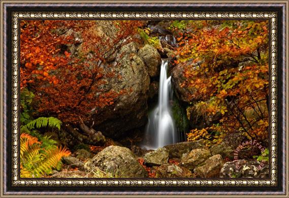 Collection 12 Fairy Fall Framed Print