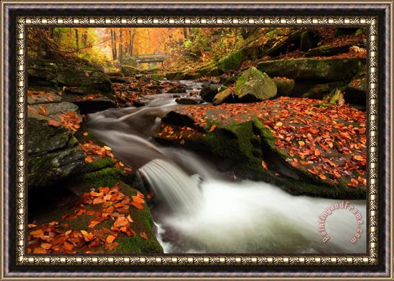 Collection 12 Fall Power Framed Print