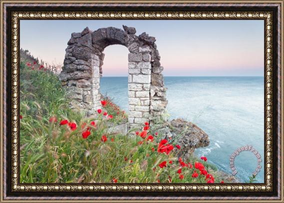 Collection 12 Gate in the Poppies Framed Print