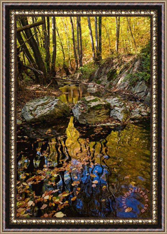 Collection 12 Golden Reflections Framed Painting