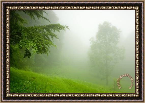 Collection 12 Green Mist Framed Painting