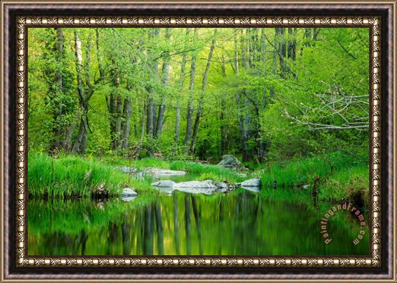 Collection 12 Green Strandzha Framed Painting