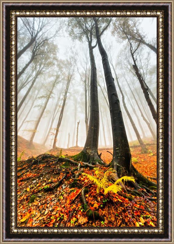 Collection 12 Lords of the Forest Framed Painting