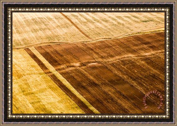 Collection 12 Picture of Summer Field Framed Painting