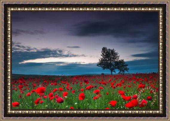 Collection 12 Red Hoods Framed Painting