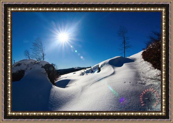 Collection 12 Snow and Sub Framed Painting