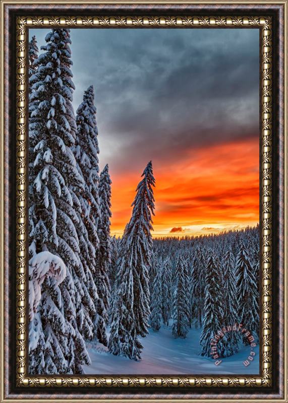 Collection 12 Snow and Sunrise Framed Print