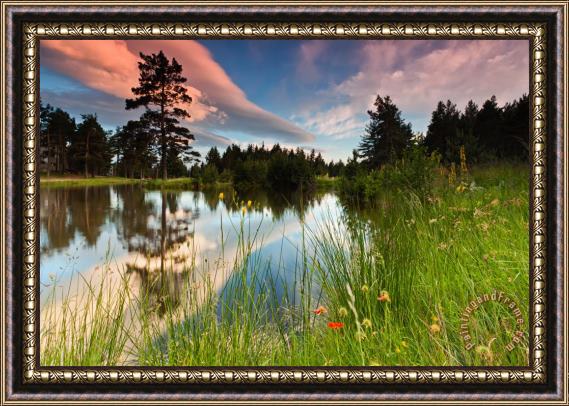 Collection 12 Spring lake Framed Painting