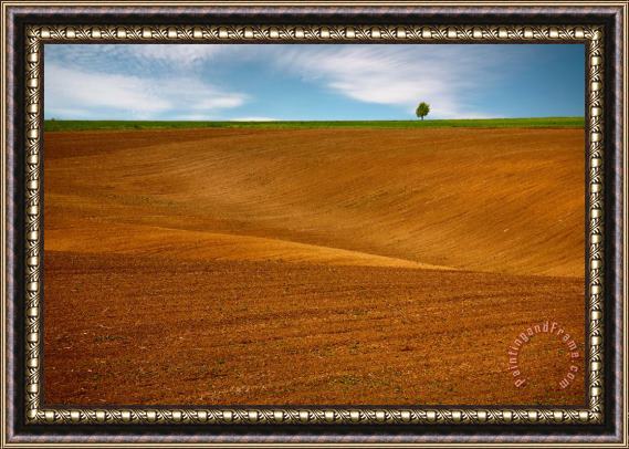 Collection 12 Spring soil Framed Painting