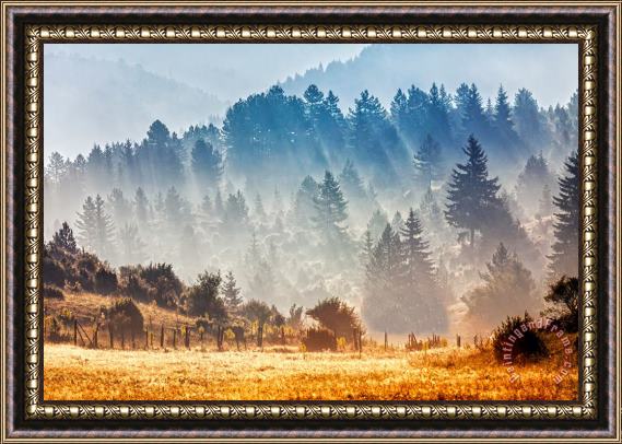 Collection 12 Sunny Morning Framed Painting