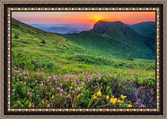 Collection 12 Sunrise behind Goat Wall Framed Painting