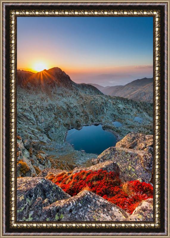 Collection 12 Tears Of the Giant Framed Print