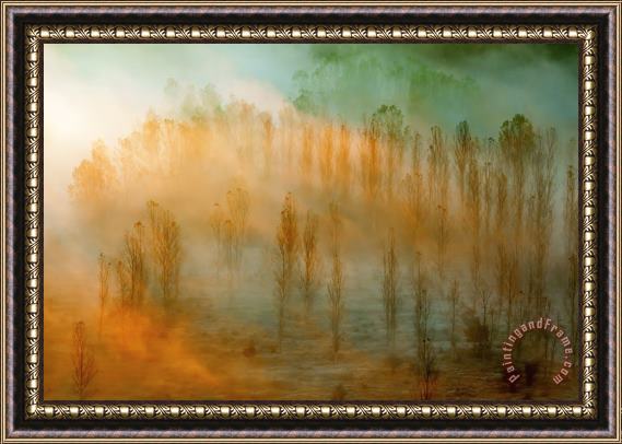 Collection 12 Thin Forest Framed Painting