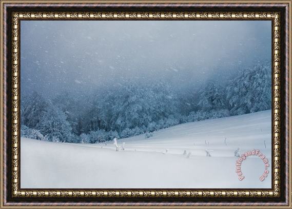 Collection 12 Winter Blizzard Framed Painting