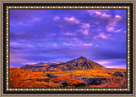 Collection 14 Autumn Glow Framed Print