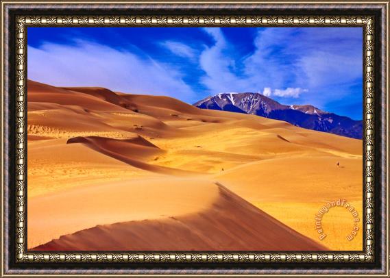 Collection 14 Beauty of The Dunes Framed Print