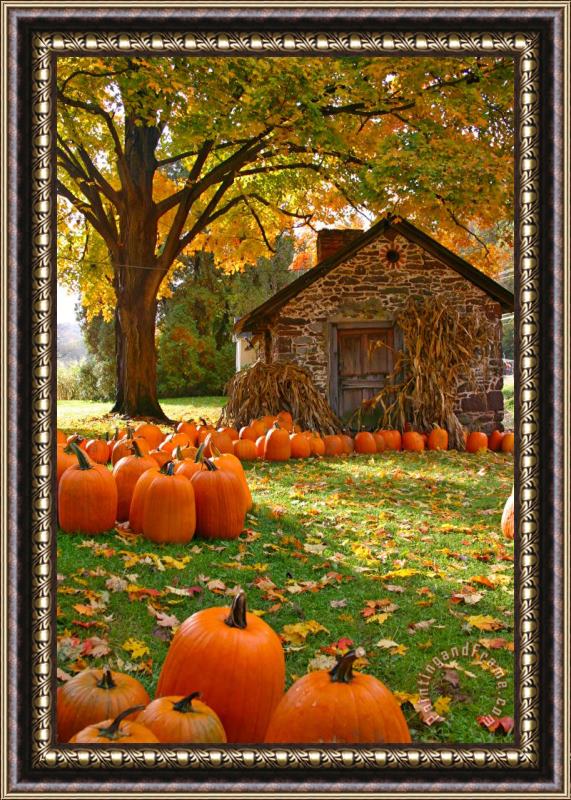 Collection 14 Bucks County in the Fall Framed Painting