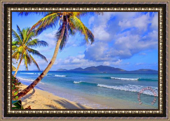 Collection 14 Caribbean Paradise Framed Painting