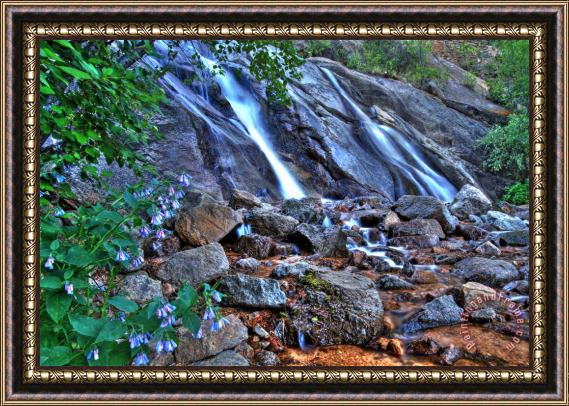 Collection 14 Falls and Wildflowers Framed Print