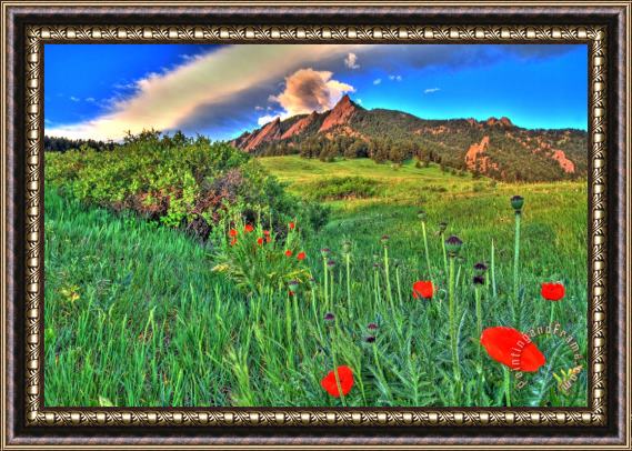Collection 14 Flatirons and Poppies Framed Print