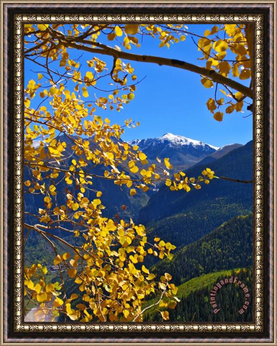 Collection 14 Framed by Fall Framed Print