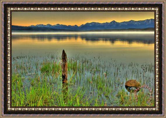 Collection 14 Golden Sunrise Framed Painting