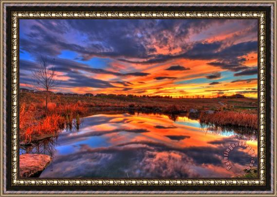 Collection 14 Golf Course Reflection Framed Print