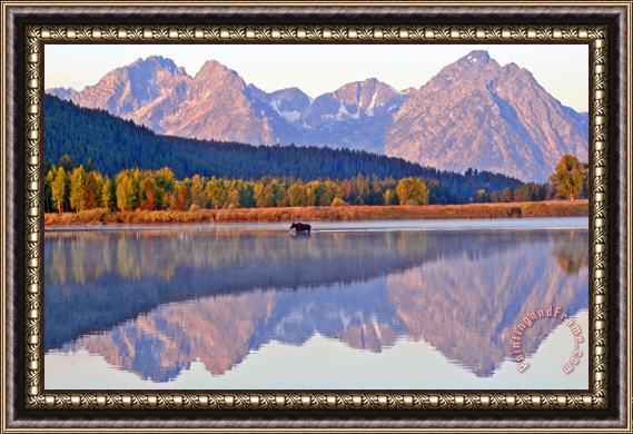 Collection 14 Grand Reflections Framed Painting