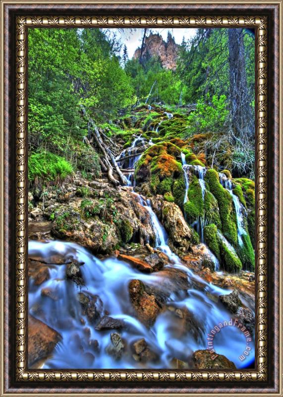 Collection 14 Lake Cascade Framed Painting