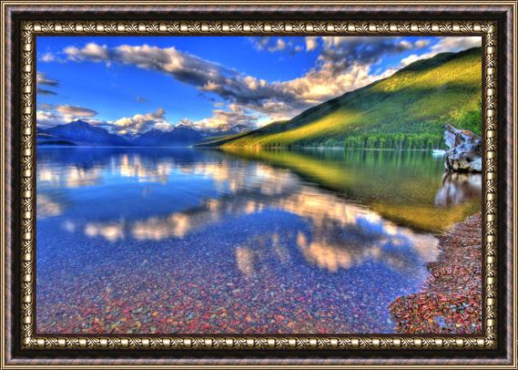 Collection 14 Nature's Designs Framed Painting