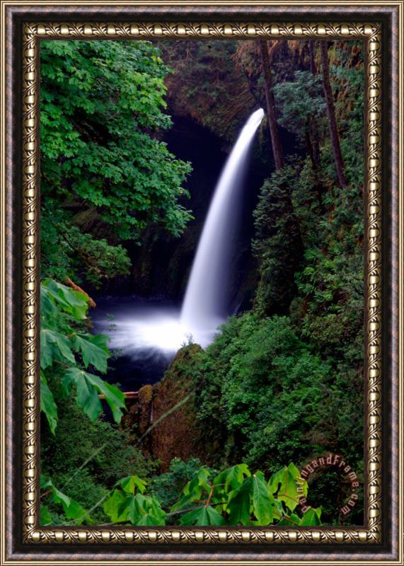 Collection 14 Shooting Falls Framed Painting
