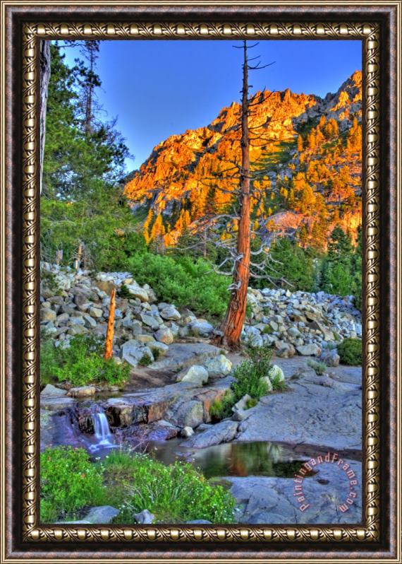 Collection 14 Sierra Cascade Framed Print