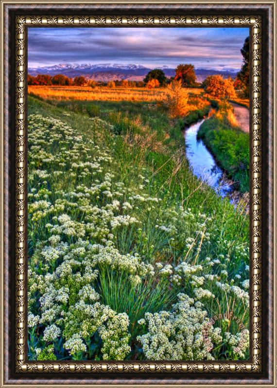 Collection 14 Stream and Sunset Framed Print