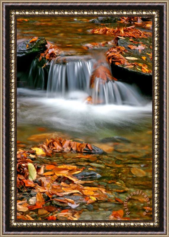 Collection 14 Stream Framed Print