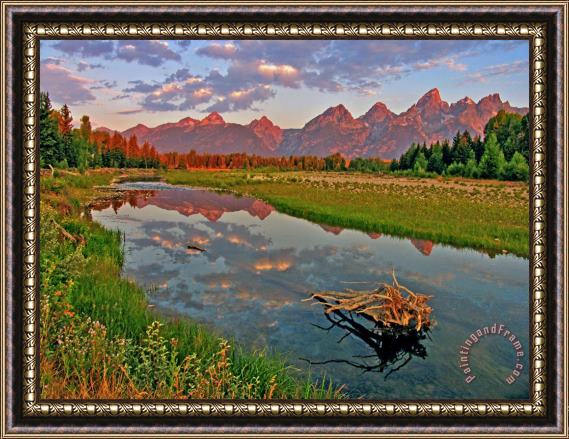 Collection 14 Teton Reflection Framed Painting