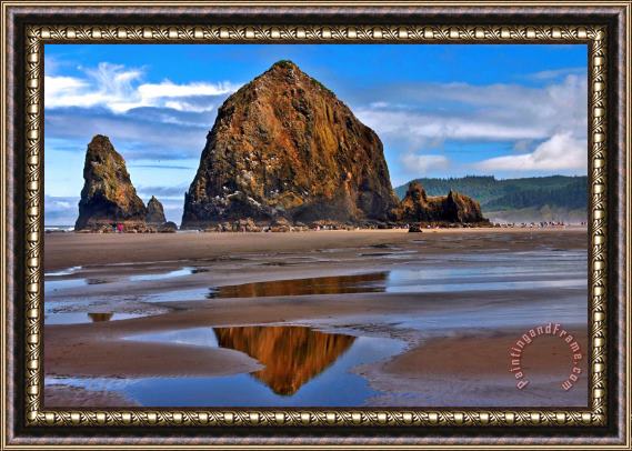 Collection 14 The Rock Framed Print