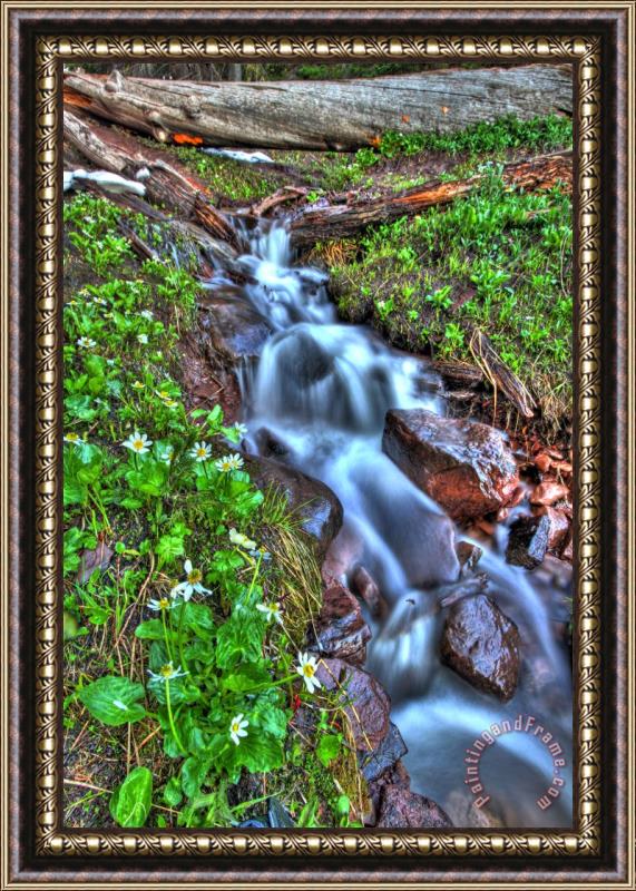 Collection 14 Vail Cascade Framed Painting
